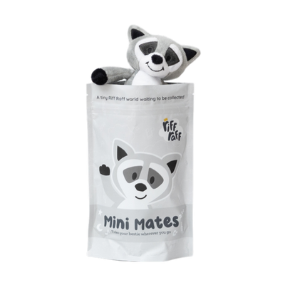 Bag Charm - Bandit the Raccoon