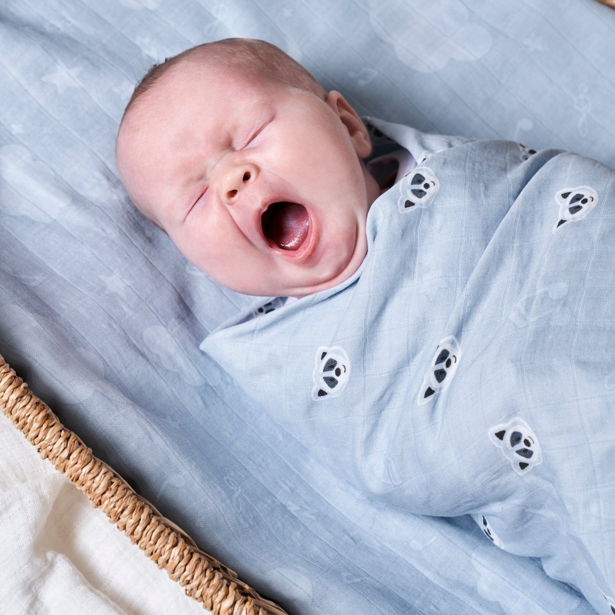 Swaddle 2pk - Bandit The Raccoon - Riff Raff Baby AU