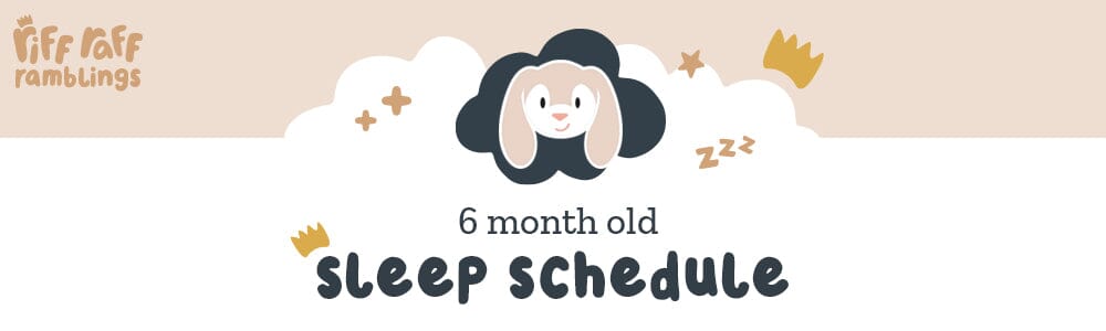 6 Month Old Sleep Schedule