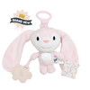 Pram Toys