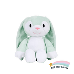 Big Bestie - Minty the Bunny
