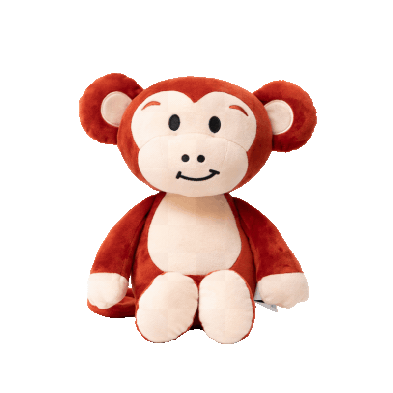 Big Bestie - Momo the Monkey