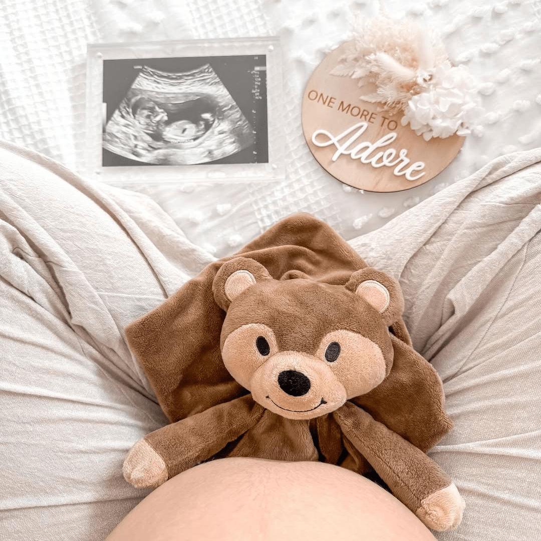 Sleep Toy Banjo The Bear – Riff Raff Baby AU - Main Image