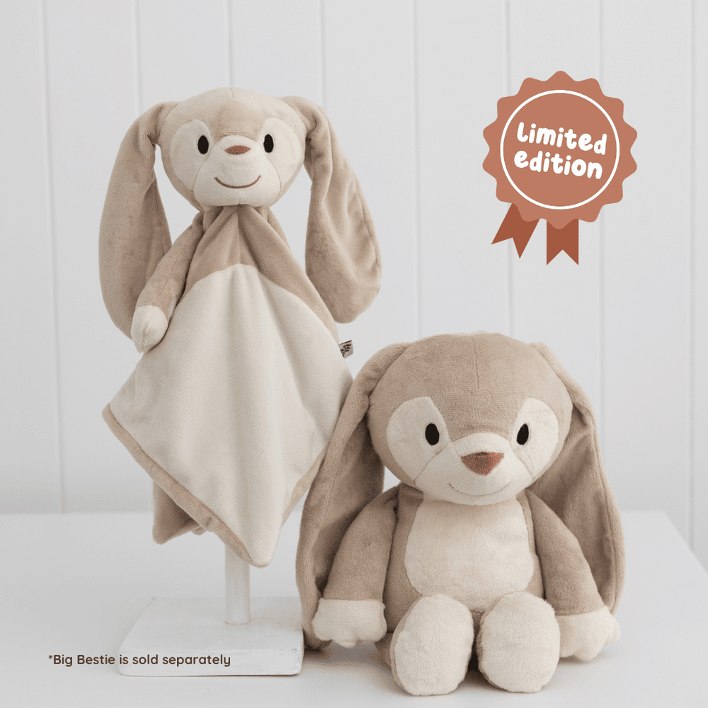 
                      
                        Sleep Toy - Cinnamon the Bunny Riff Raff & Co Sleep Toys 
                      
                    