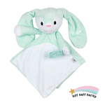 Sleep Toy - Minty The Bunny