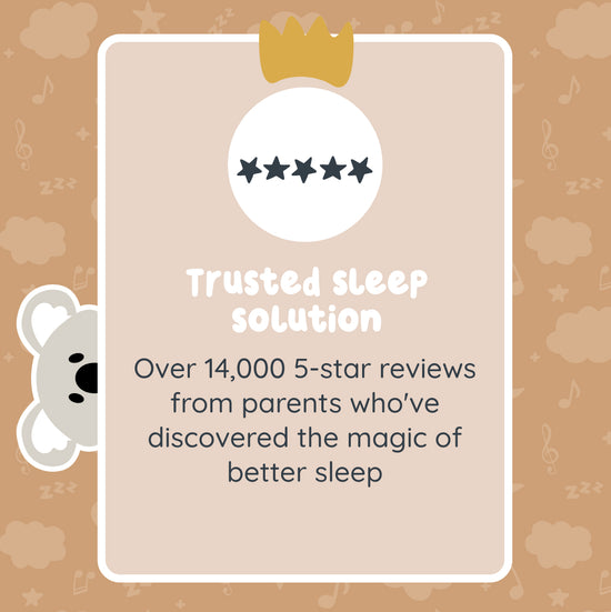 Sleep Toy - Banjo The Bear – Riff Raff Baby AU